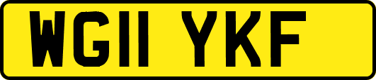 WG11YKF