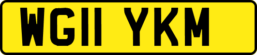 WG11YKM