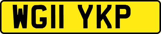 WG11YKP