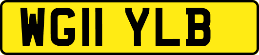 WG11YLB