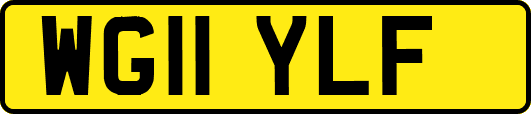 WG11YLF