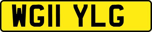 WG11YLG