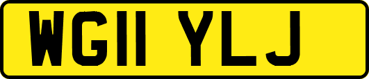 WG11YLJ