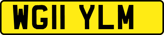 WG11YLM