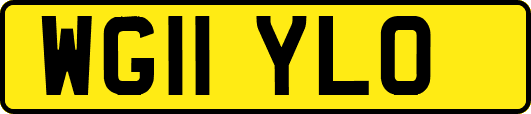 WG11YLO
