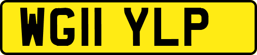 WG11YLP