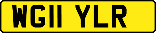 WG11YLR