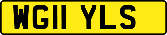 WG11YLS