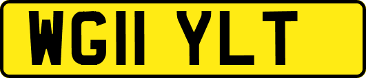 WG11YLT