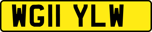 WG11YLW