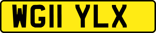 WG11YLX