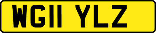 WG11YLZ