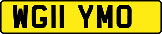 WG11YMO