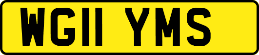 WG11YMS