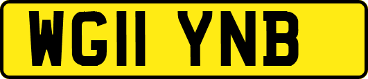 WG11YNB