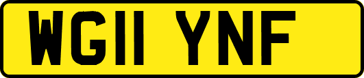 WG11YNF