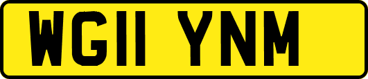 WG11YNM
