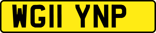 WG11YNP