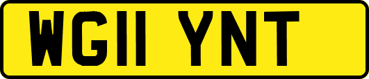 WG11YNT
