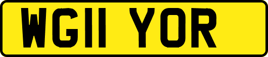 WG11YOR