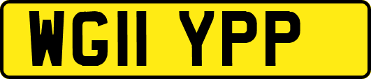 WG11YPP