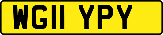 WG11YPY