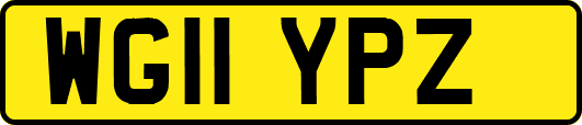 WG11YPZ