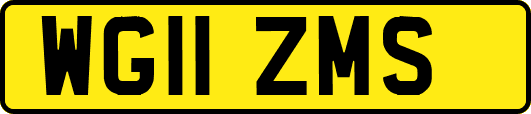 WG11ZMS
