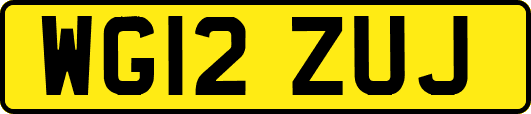 WG12ZUJ