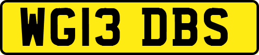 WG13DBS