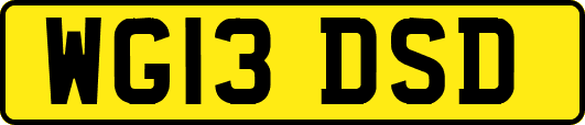 WG13DSD