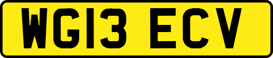 WG13ECV