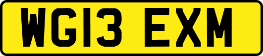 WG13EXM
