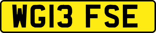 WG13FSE