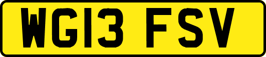 WG13FSV