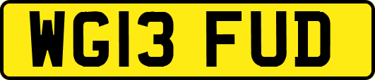 WG13FUD