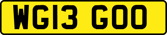 WG13GOO
