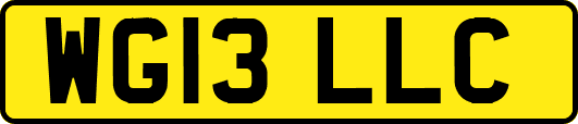 WG13LLC
