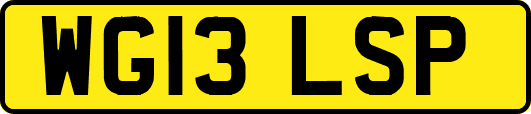 WG13LSP