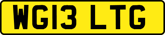 WG13LTG