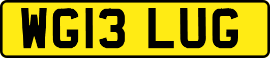 WG13LUG