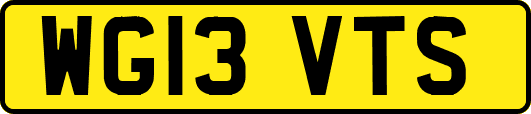 WG13VTS