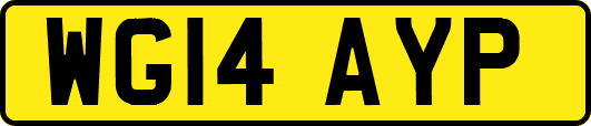 WG14AYP