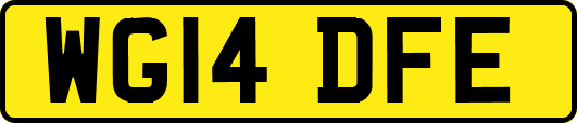 WG14DFE
