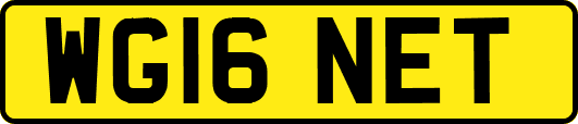 WG16NET