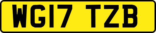 WG17TZB