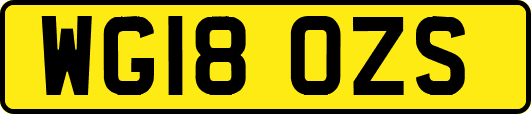 WG18OZS