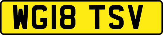WG18TSV