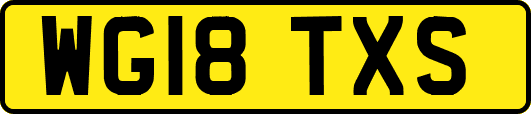 WG18TXS