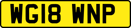 WG18WNP